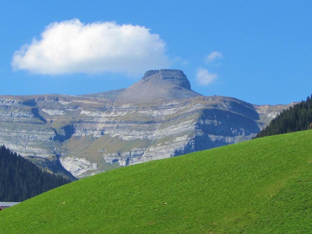 Hotel Kistenpass บริเกลส์ ภายนอก รูปภาพ